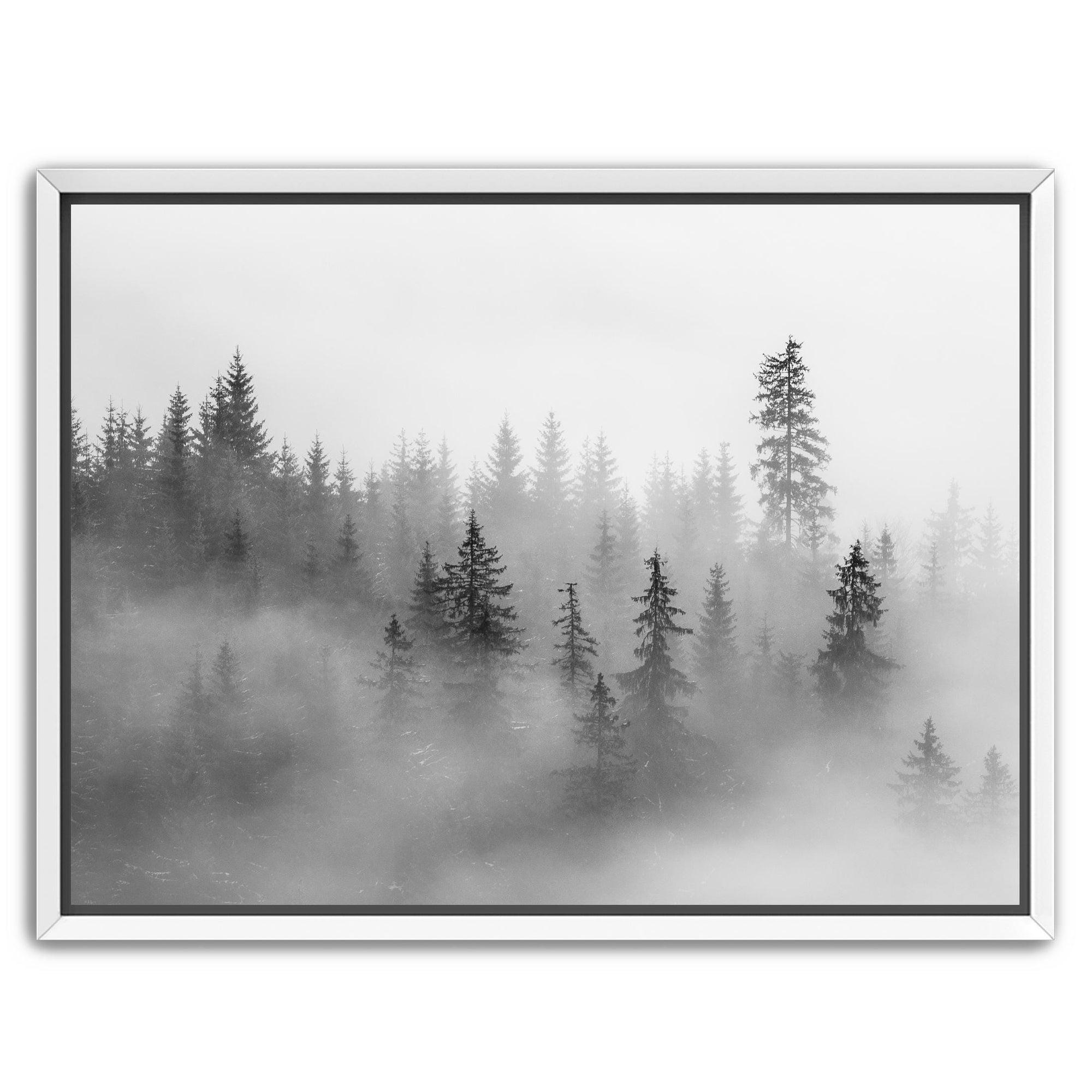 foggy forest wall art