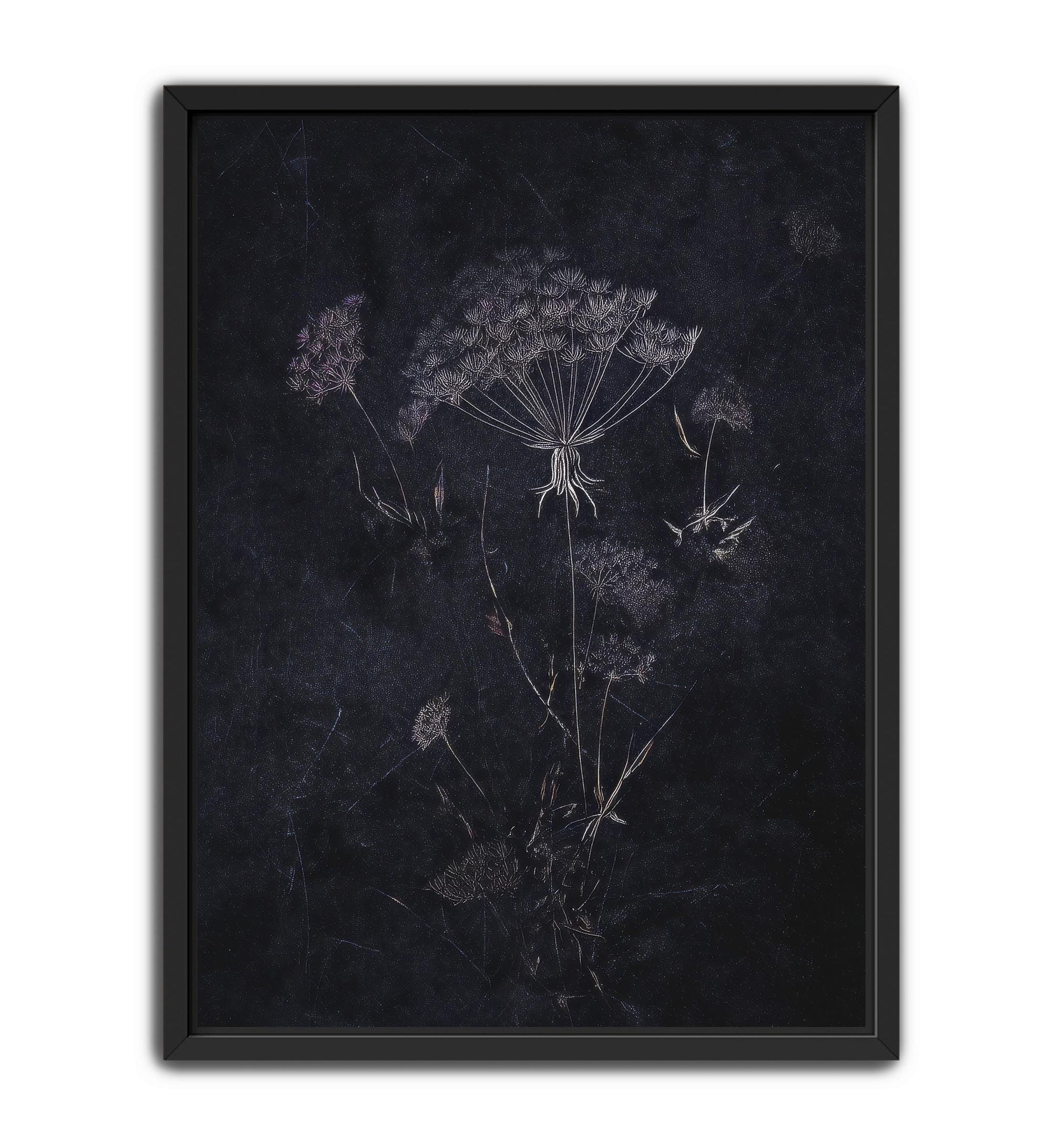 Gothic dandelion botanical wall art on dark background