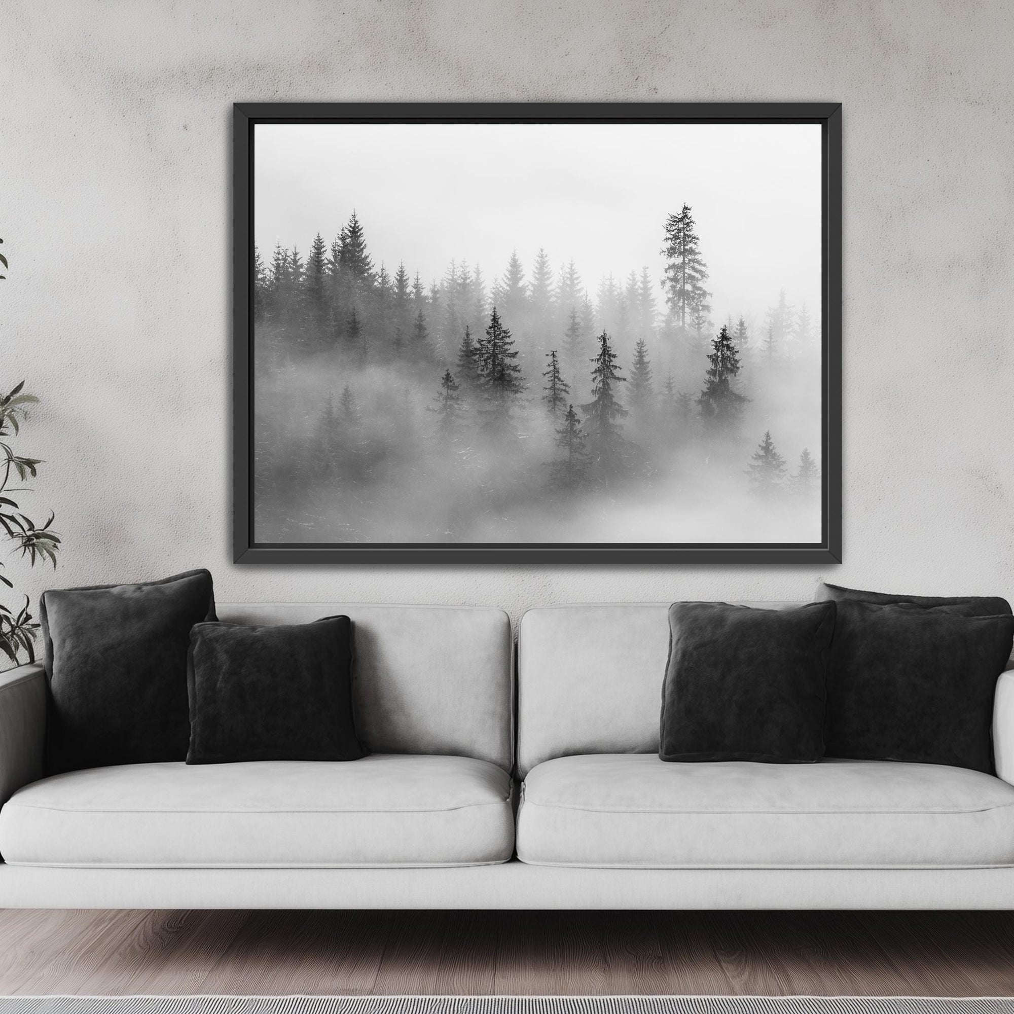 misty woods photography