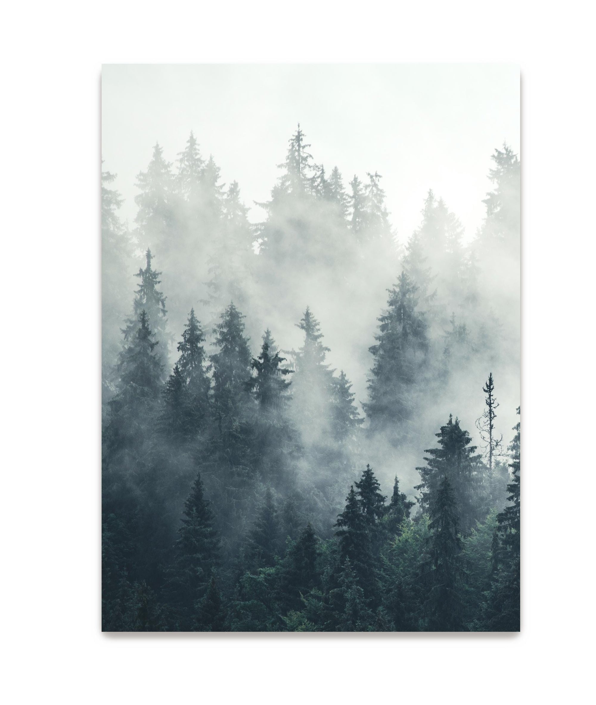 mountain forest wall decor with clouds stretched canvas art print