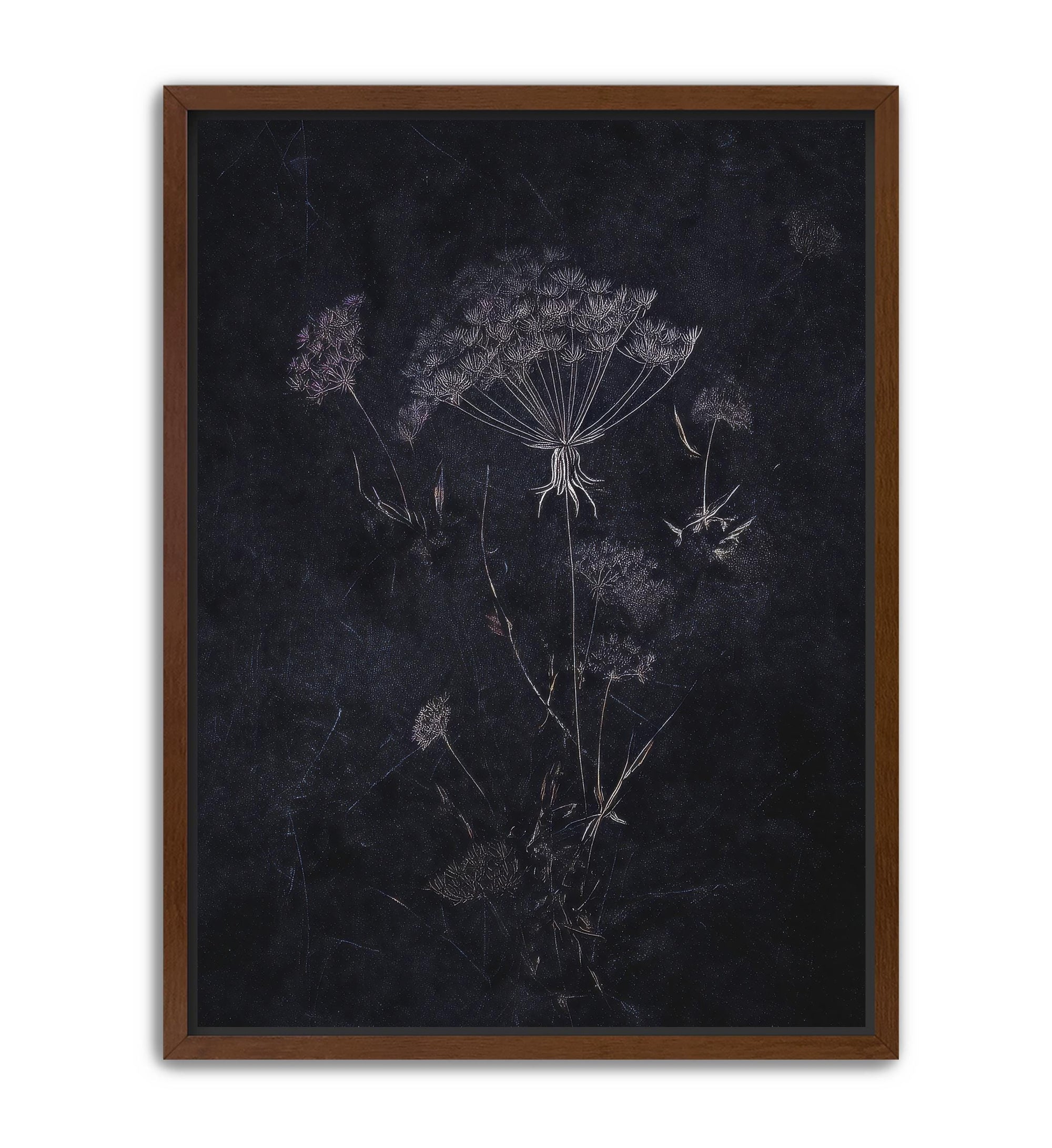 Antique plant illustration inspired wall decor