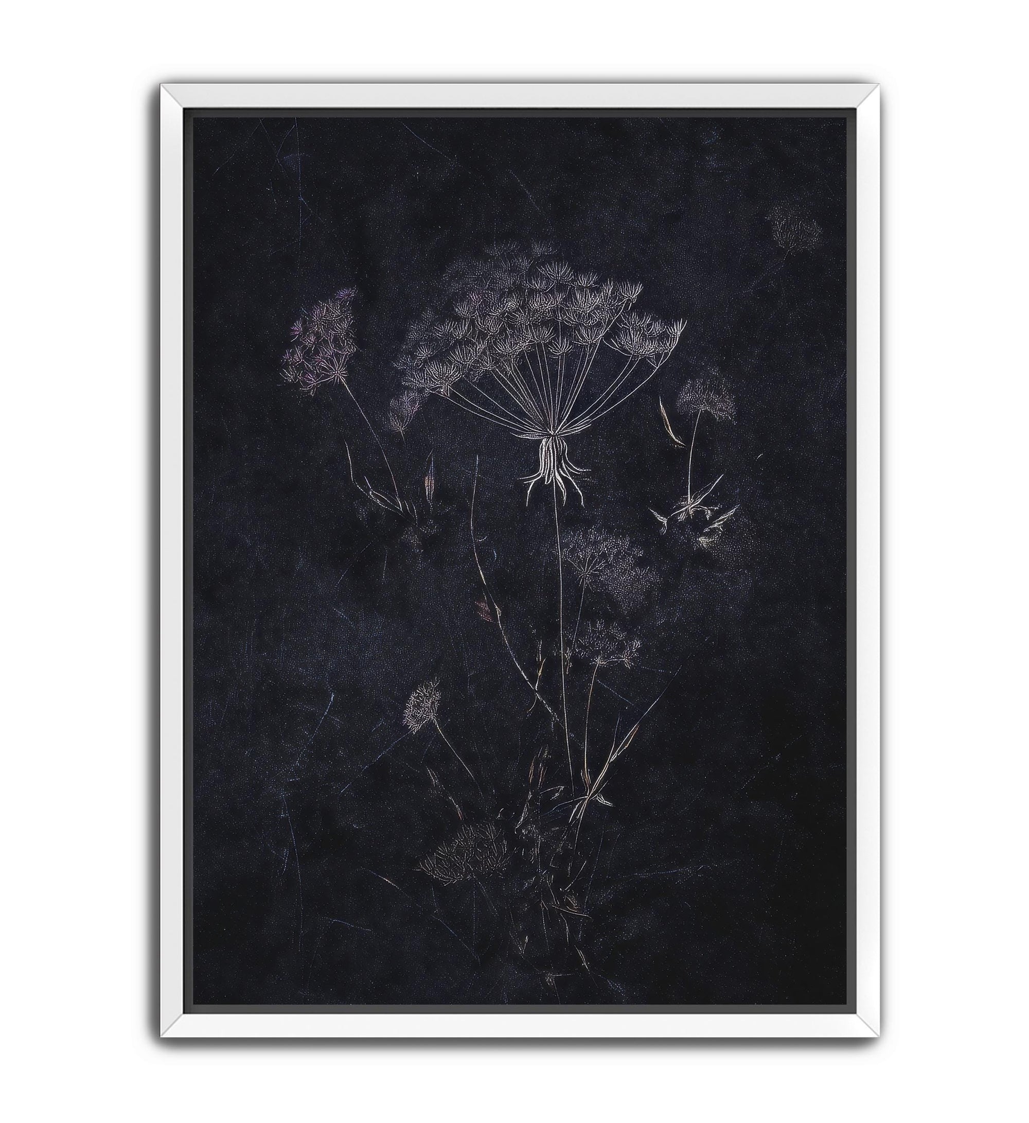 Dark floral scientific engraving style artwork