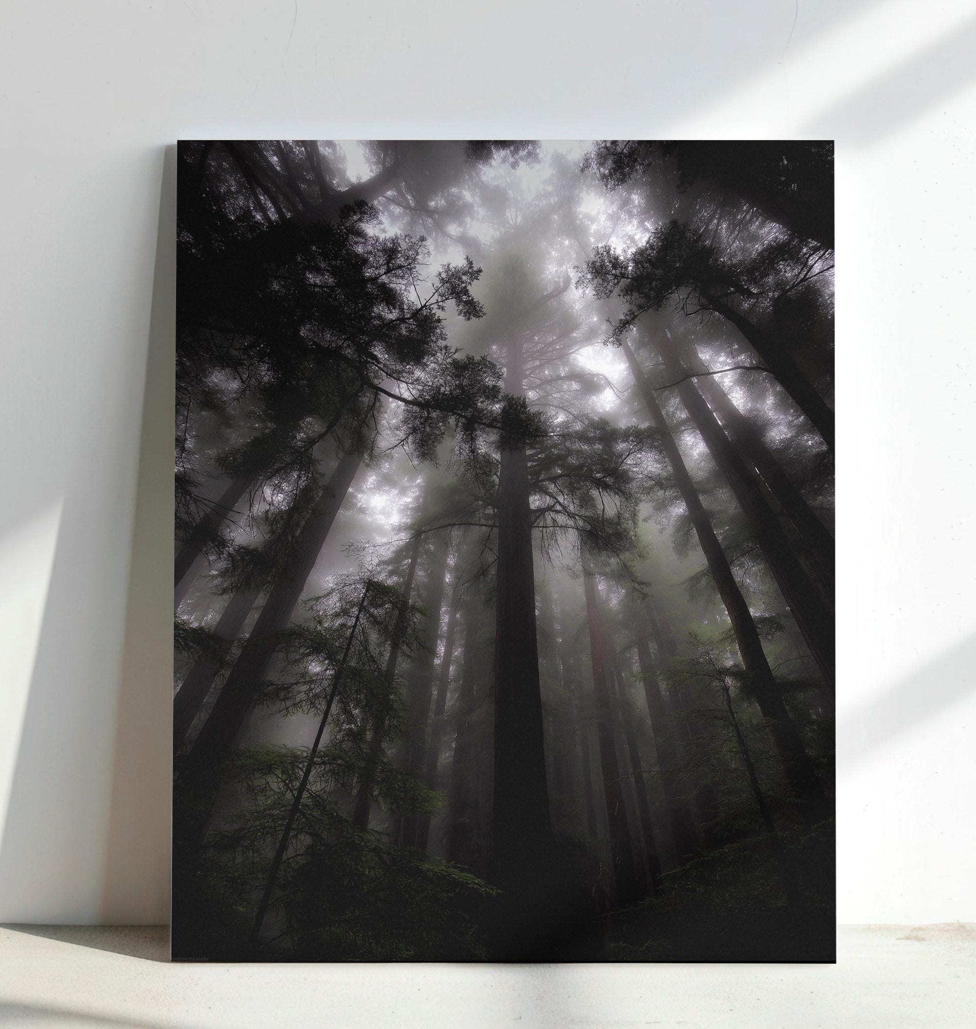 Tall forest canvas art for living room