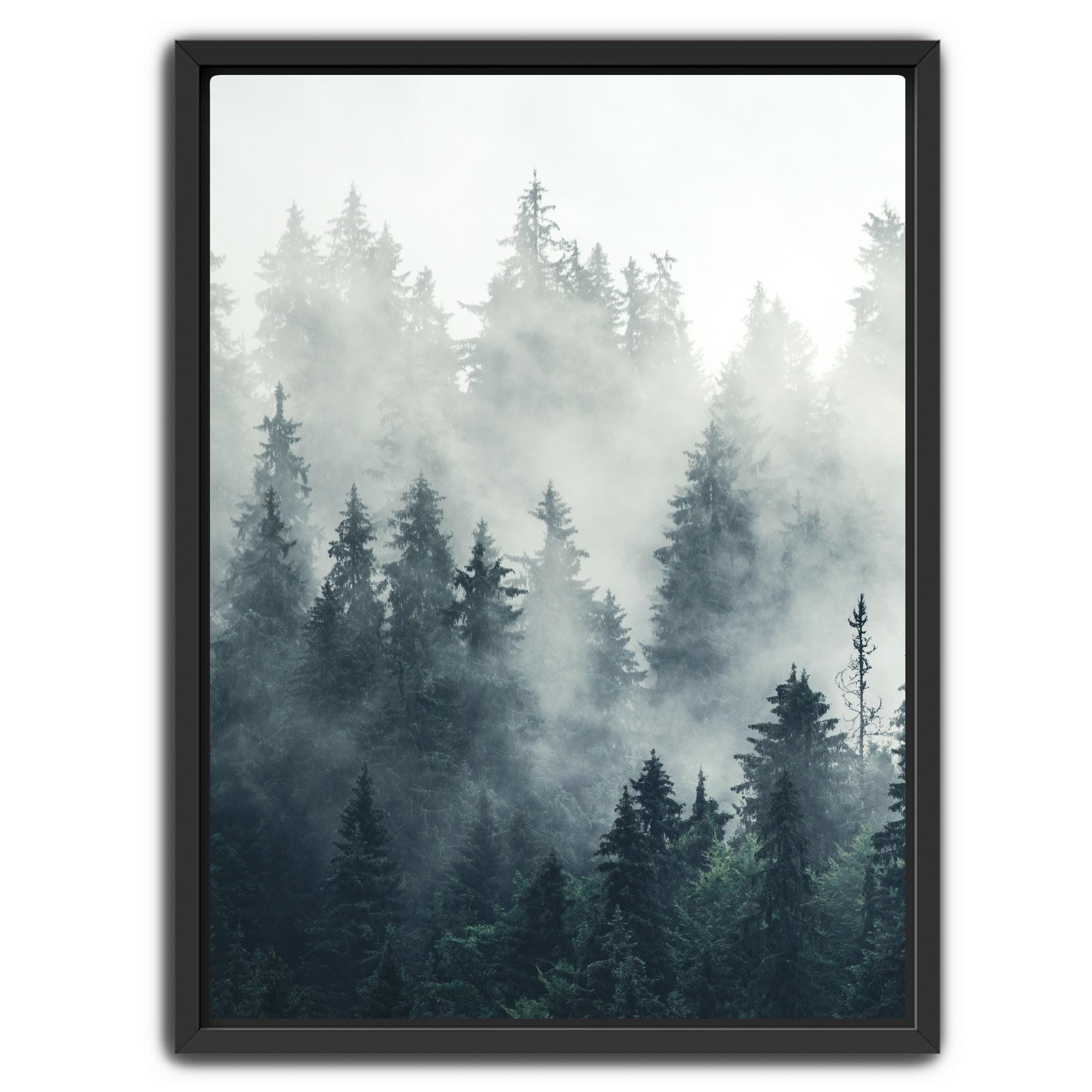 foggy evergreen forest panoramic wall art